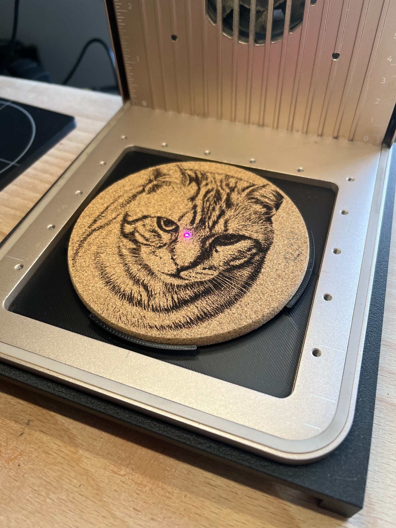 Lasergravur der Katze auf Kork